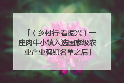 （乡村行·看振兴）一座肉牛小镇入选国家级农业产业强镇名单之后