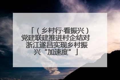 （乡村行·看振兴）党建联建推进村企结对 浙江遂昌实现乡村振兴“加速度”