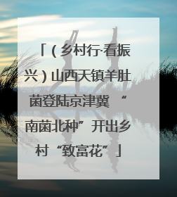 （乡村行·看振兴）山西天镇羊肚菌登陆京津冀 “南菌北种”开出乡村“致富花”