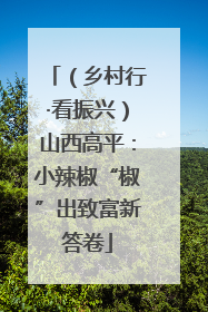 （乡村行·看振兴）山西高平：小辣椒“椒”出致富新答卷