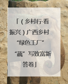 （乡村行·看振兴）广西乡村“绿色工厂” “蔬”写致富新答卷