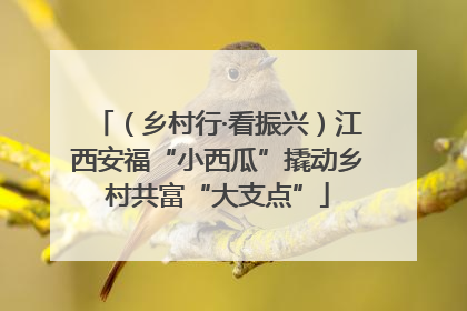（乡村行·看振兴）江西安福“小西瓜”撬动乡村共富“大支点”