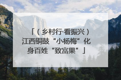 （乡村行·看振兴）江西铜鼓“小杨梅”化身百姓“致富果”