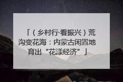 （乡村行·看振兴）荒沟变花海：内蒙古闲置地育出“花漾经济”