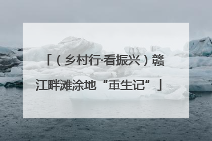（乡村行·看振兴）赣江畔滩涂地“重生记”