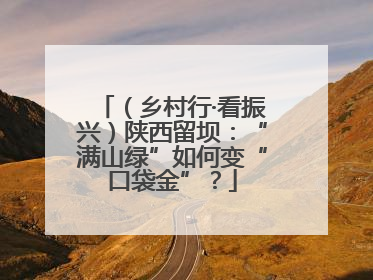 （乡村行·看振兴）陕西留坝：“满山绿”如何变“口袋金”？