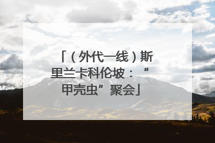 （外代一线）斯里兰卡科伦坡：“甲壳虫”聚会