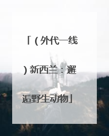 （外代一线）新西兰：邂逅野生动物