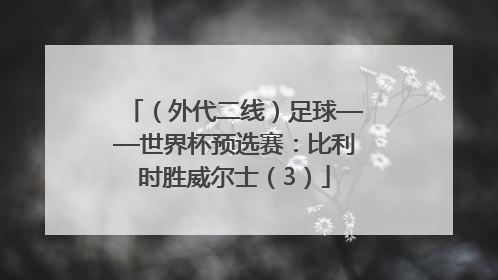 （外代二线）足球——世界杯预选赛：比利时胜威尔士（3）