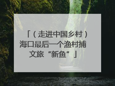 （走进中国乡村）海口最后一个渔村捕文旅“新鱼”