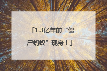 1.3亿年前“僵尸蚂蚁”现身！