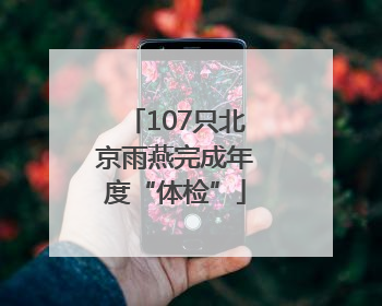 107只北京雨燕完成年度“体检”