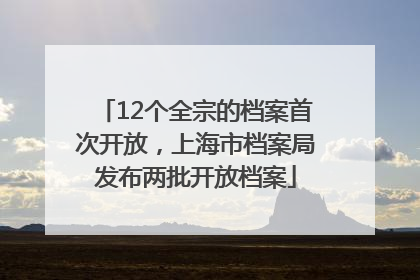 12个全宗的档案首次开放，上海市档案局发布两批开放档案