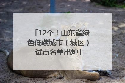 12个！山东省绿色低碳城市（城区）试点名单出炉
