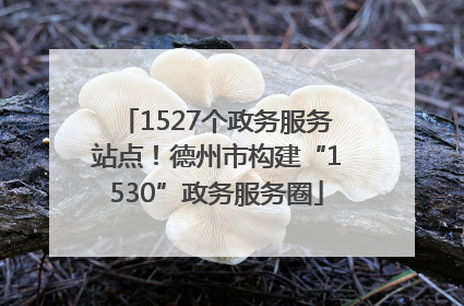 1527个政务服务站点！德州市构建“1530”政务服务圈