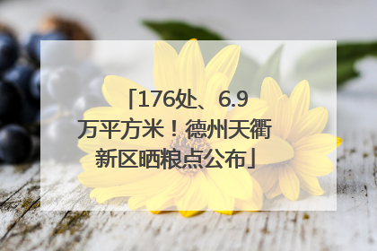176处、6.9万平方米！德州天衢新区晒粮点公布