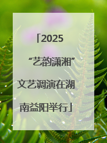 2025 “艺韵潇湘”文艺调演在湖南益阳举行