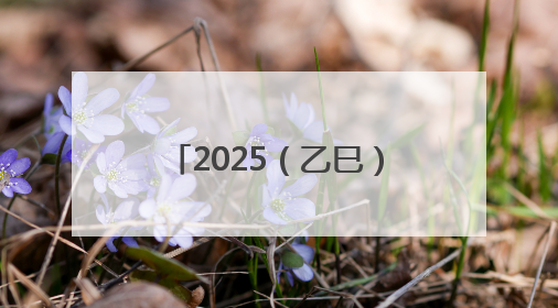 2025（乙巳）年公祭中华人文始祖伏羲大典祭文