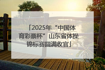 2025年“中国体育彩票杯”山东省体操锦标赛圆满收官