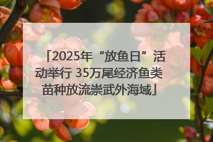 2025年“放鱼日”活动举行 35万尾经济鱼类苗种放流崇武外海域