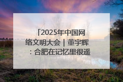 2025年中国网络文明大会｜董宇辉：合肥在记忆里很遥远也很亲切