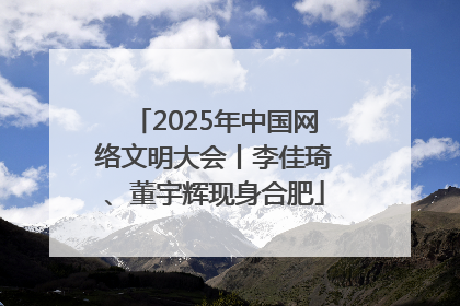 2025年中国网络文明大会丨李佳琦、董宇辉现身合肥