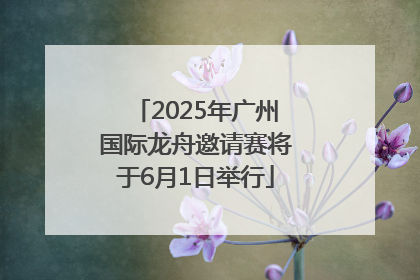 2025年广州国际龙舟邀请赛将于6月1日举行
