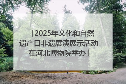 2025年文化和自然遗产日非遗展演展示活动在河北博物院举办
