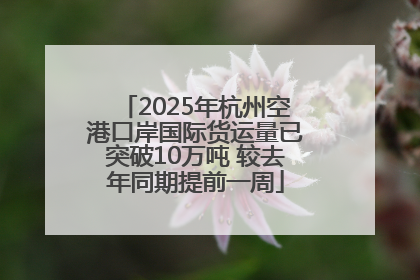 2025年杭州空港口岸国际货运量已突破10万吨 较去年同期提前一周
