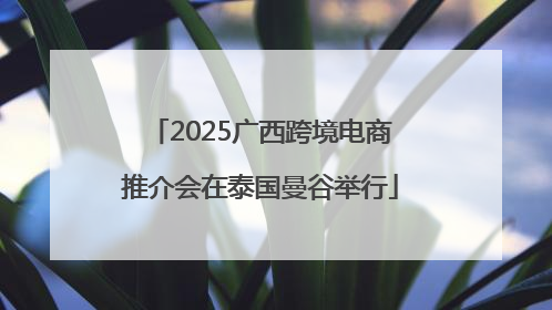2025广西跨境电商推介会在泰国曼谷举行