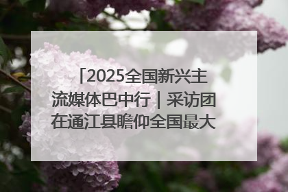 2025全国新兴主流媒体巴中行｜采访团在通江县瞻仰全国最大红军烈士陵园