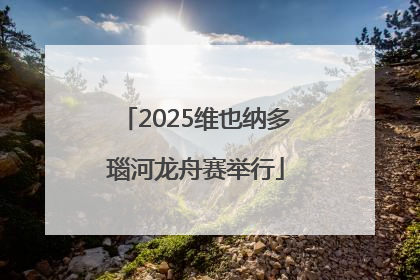 2025维也纳多瑙河龙舟赛举行