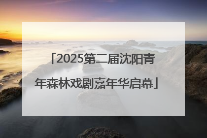 2025第二届沈阳青年森林戏剧嘉年华启幕