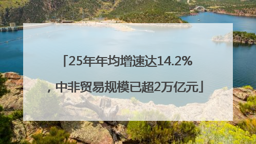 25年年均增速达14.2%，中非贸易规模已超2万亿元