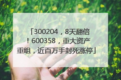 300204，8天翻倍！600358，重大资产重组，近百万手封死涨停