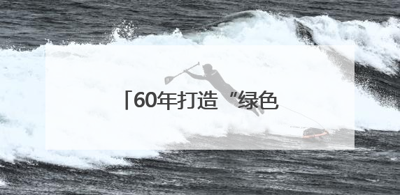 60年打造“绿色银行”：吉林通化红松林藏着致富密码