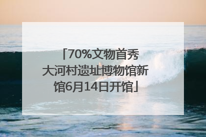 70%文物首秀 大河村遗址博物馆新馆6月14日开馆