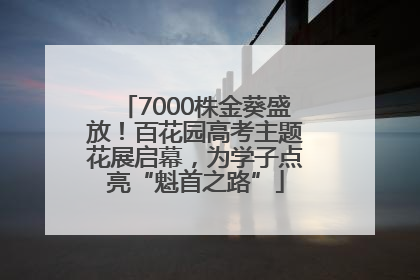 7000株金葵盛放！百花园高考主题花展启幕，为学子点亮“魁首之路”