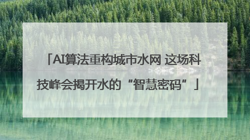 AI算法重构城市水网 这场科技峰会揭开水的“智慧密码”