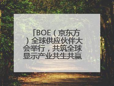 BOE（京东方）全球供应伙伴大会举行，共筑全球显示产业共生共赢新格局