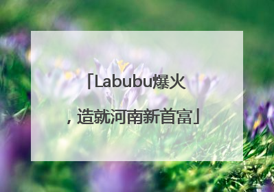 Labubu爆火，造就河南新首富